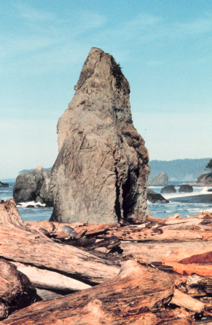 Pinnacle rocks and weather-beaten logs - trademarks of the Oregon coast