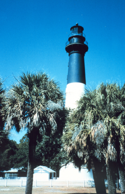Hunting Island Lighthouse and palmetto trees