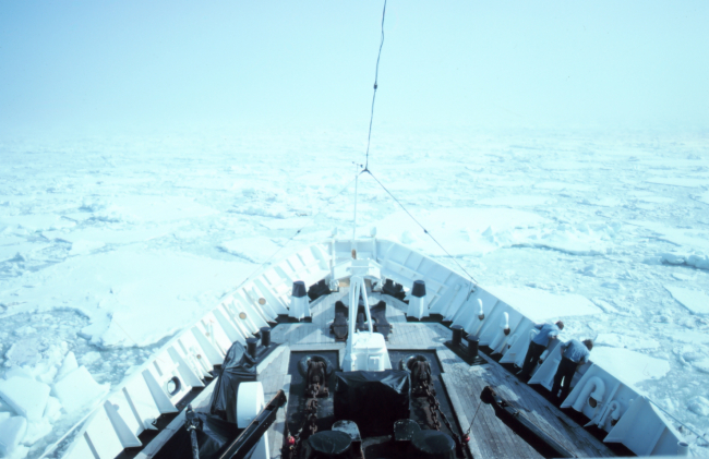 The bow of the SURVEYOR - picking its way through the ice