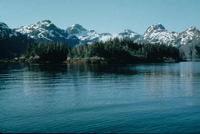 Rugged Alaska shoreline