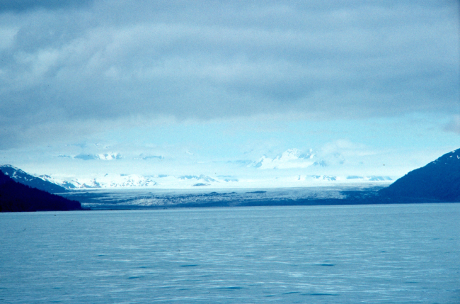 Taylor Glacier - western Prince William Sound
