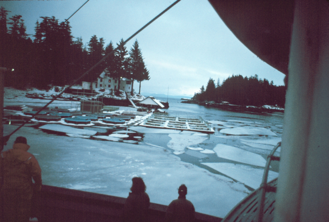 The salmon pens at Little Port Walter in the winter