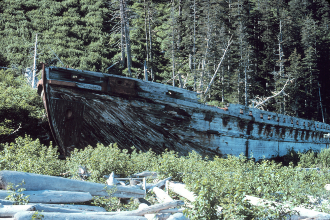 An old wooden ship cast ashore