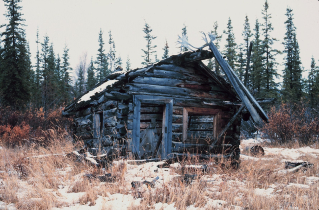 An old settler's cabin