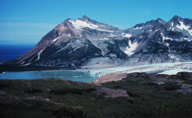 Mountain, glacier, and ocean