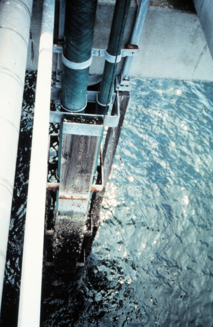 The tide gage installation at Cherry Point