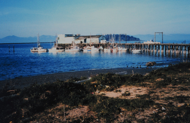 The Northwest Seafoods Company Pier