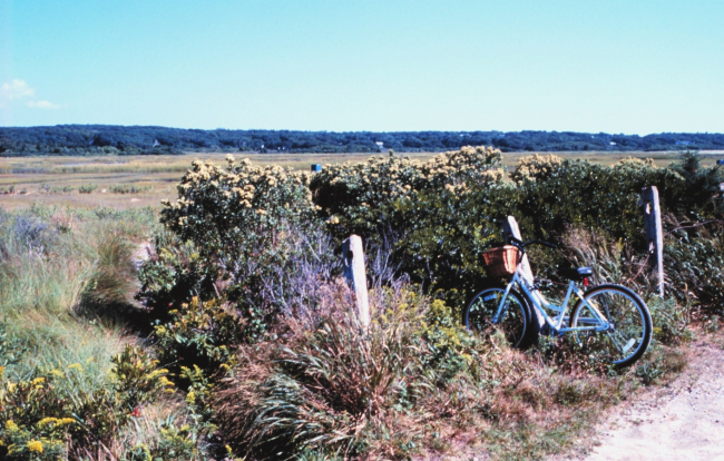 Great Sippewissett Marsh, West Falmouth