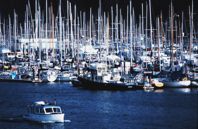 A sea of masts at a Seattle marina