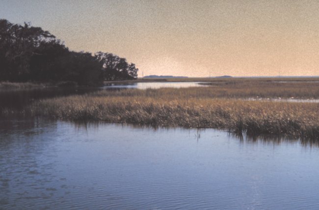 Salt marsh at high tide, at the south end of Sapelo Island