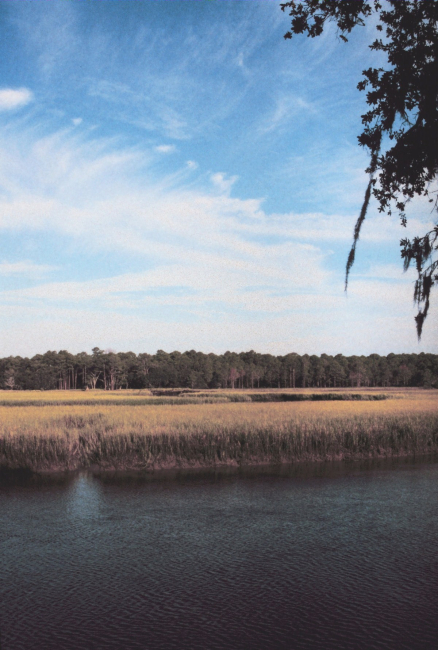 Looking west toward Sapelo from Cabretta Campground