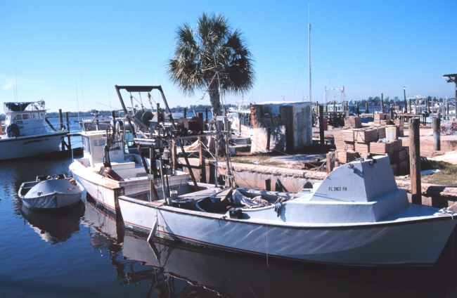Shrimp, snapper, grouper, and stone crab fishing boats at A