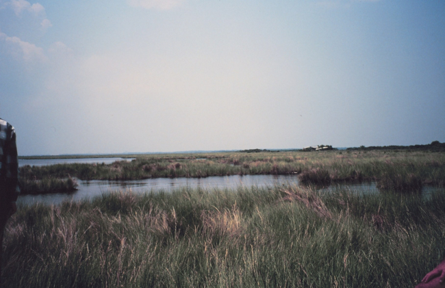 Broken marsh in Barataria Basin just west of the levee