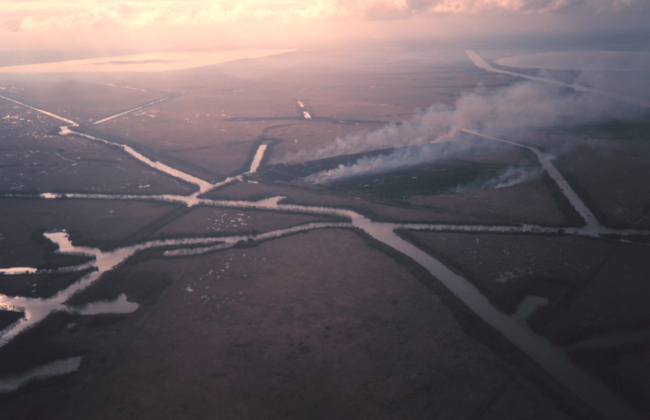 Burning off marsh south of New Orleans to improve next year's growth