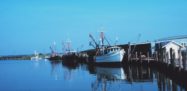 The commercial fishing piers at Cape May
