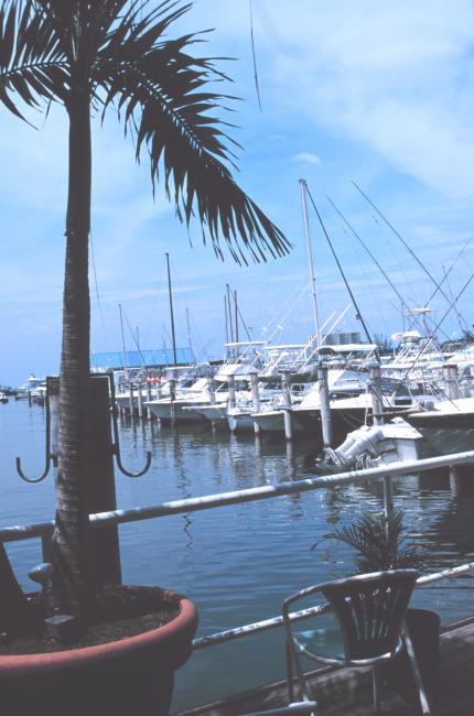 Recreational fishing boats at San Juan Bay Marina