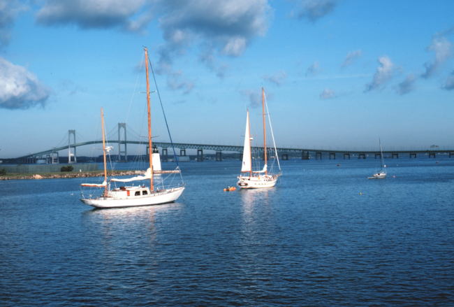 Sail boats with Newport Bridge in the background