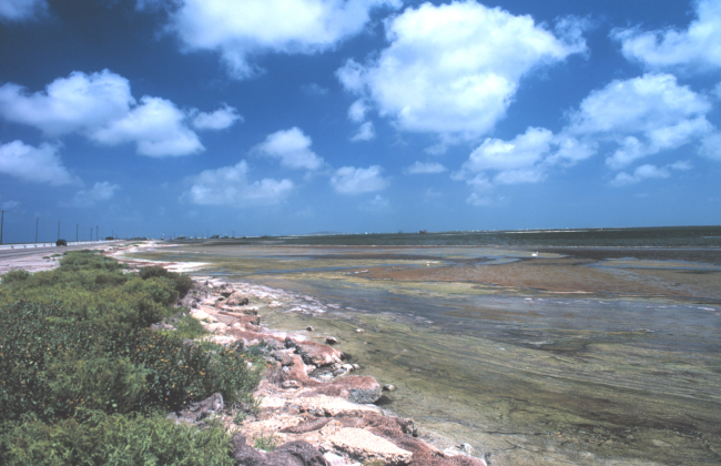 Part of Cayo del Oso Creek which empties into Corpus Christi Bay