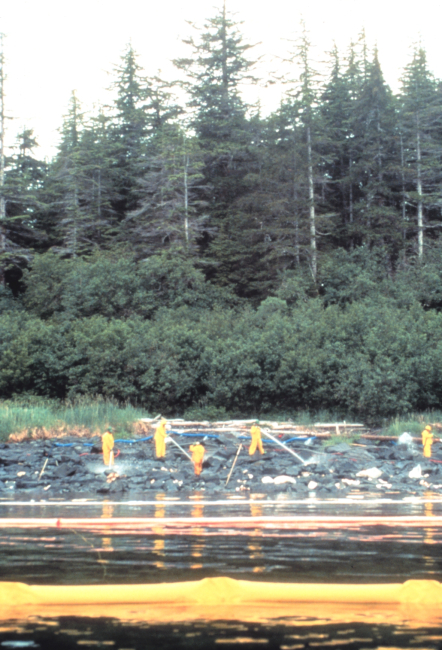 Workers cleaning oiled shoreline