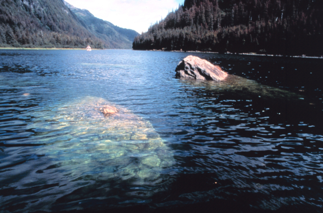 Boulders peaking above water surface in a Prince William Sound waterway