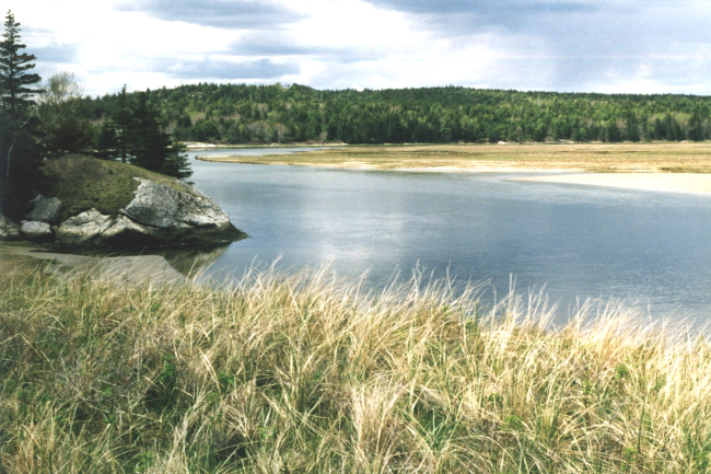 Morse River Inlet showing tidal marsh with bedrock exposed on the periphery