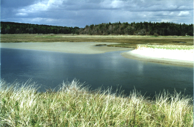Morse River Inlet showing tidal marsh showing prograding of the barrier spit