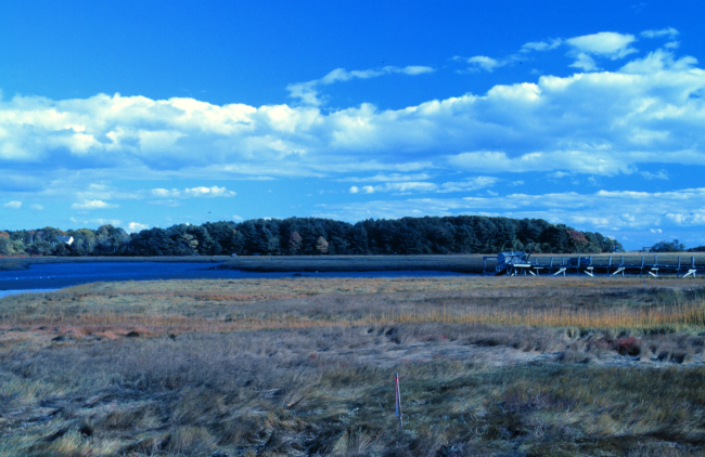 A view of wetlands at Great Bay National Estuarine Research Reserve