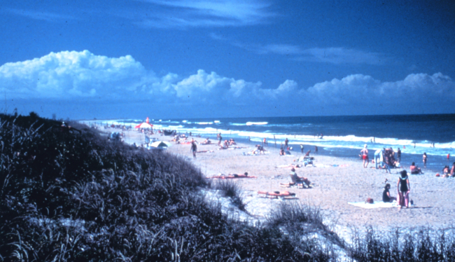 Canaveral National Seashore protects the cultural and natural resources withinthe park and provides recreational opportunities for park visitors