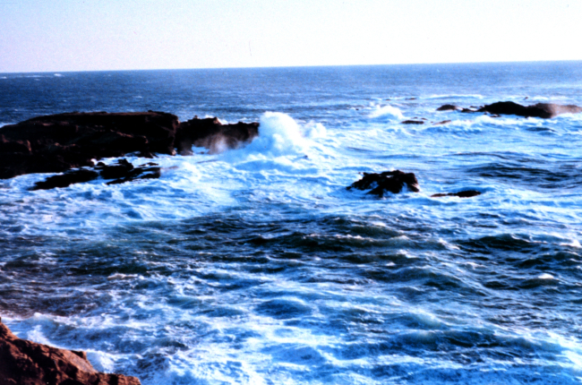 The meeting of sea and land at Point Lobos