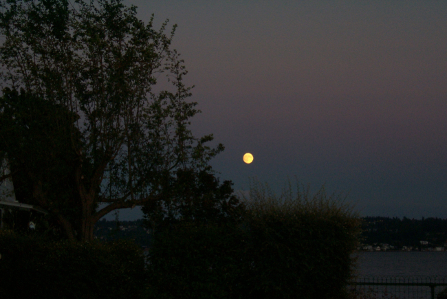 Moonrise over Tacoma as seen from Point Fosdick