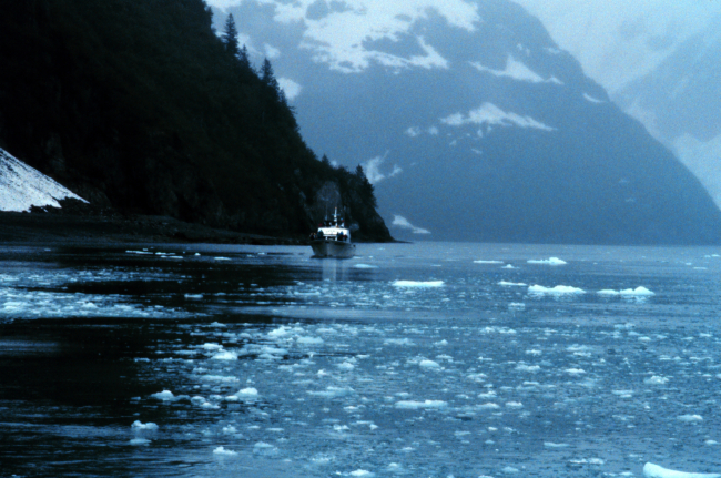 Cruise boat dwarfed in Kenai Fjords