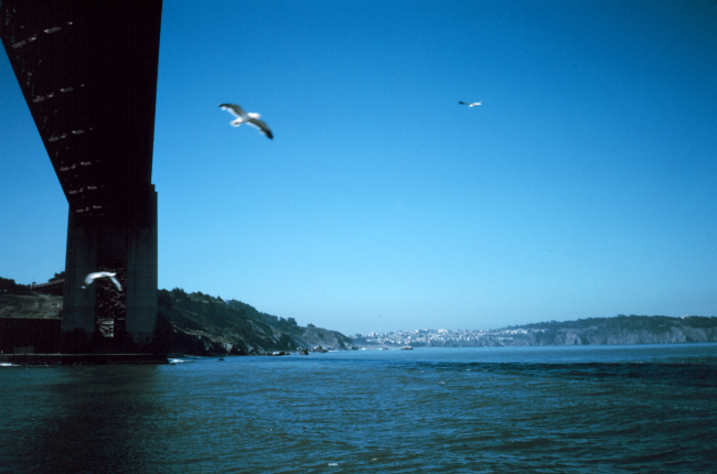The Golden Gate Bridge as seen from a small boat at mid-span looking to thenorth