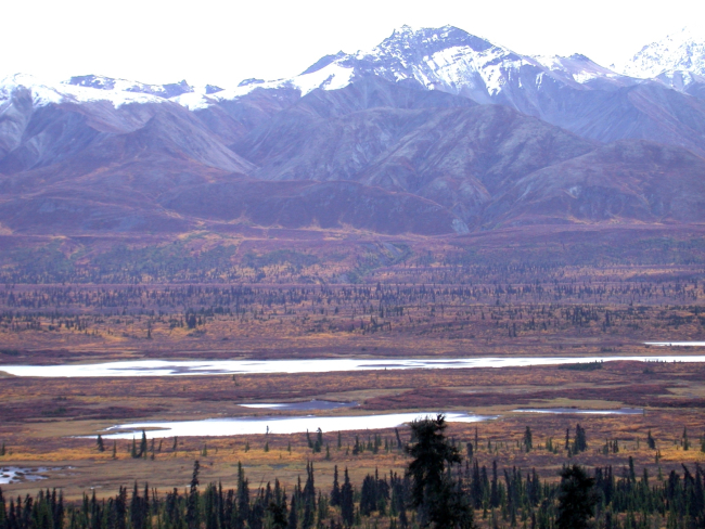 Part of the Alaska Range as seen from Alaska Highway 3