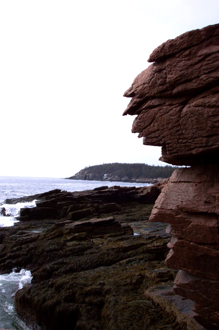 The view towards Otter Cliffs from Thunder Hole