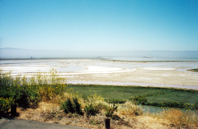 Salt flats at the south end of San Francisco Bay as seen from the Redwood Cityarea