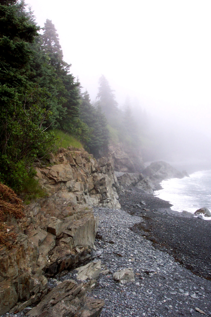 Cobble beach, rocky cliffs, and fog-shrouded evergreens at WestQuoddy Head