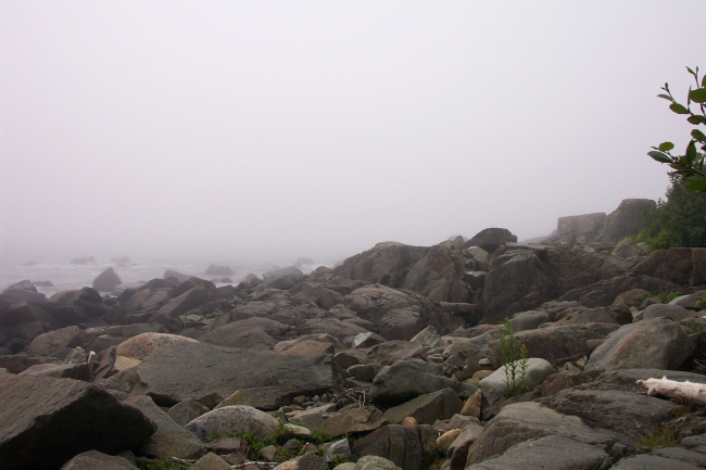 Part of a foggy rocky shoreline at West Quoddy Head