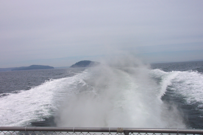 Leaving Bar Harbor behind on a whale-watching cruise to the Gulf of Maine