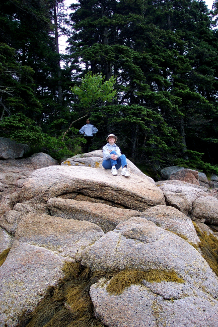 Seaweed, granite boulders, and evergreens make for a pleasant setting