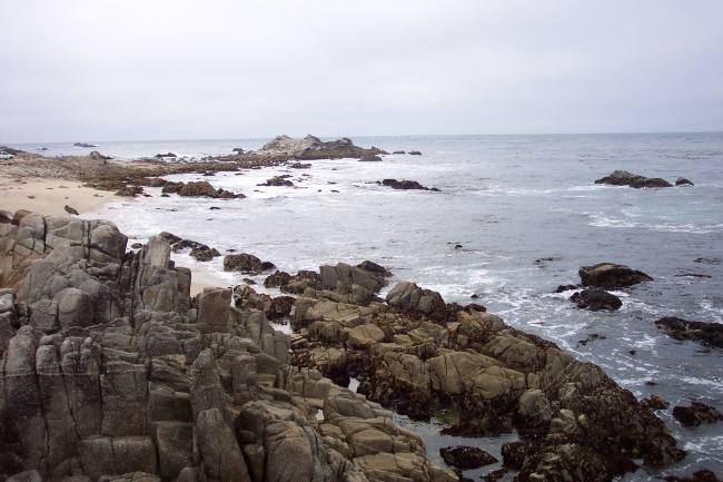 The rocky shores in the Point Pinos area composed of highly erosion resistantSanta Lucia Granodiorite