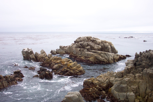 The rocky shores in the Point Pinos area composed of highly erosion resistantSanta Lucia Granodiorite
