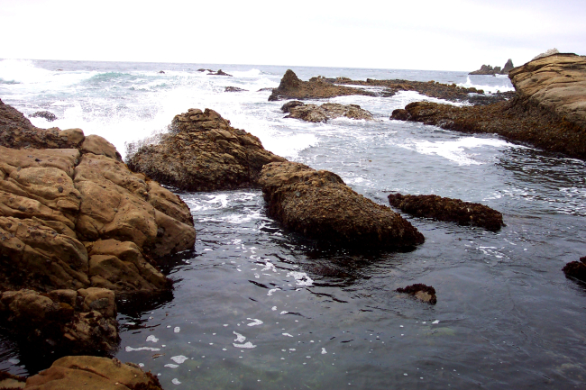 Rocks, tidepools and surf at Point Lobos
