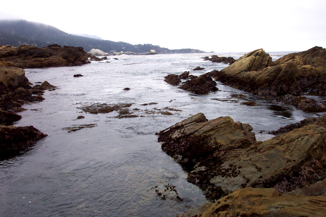 A quiet cove (on this day) at Point Lobos