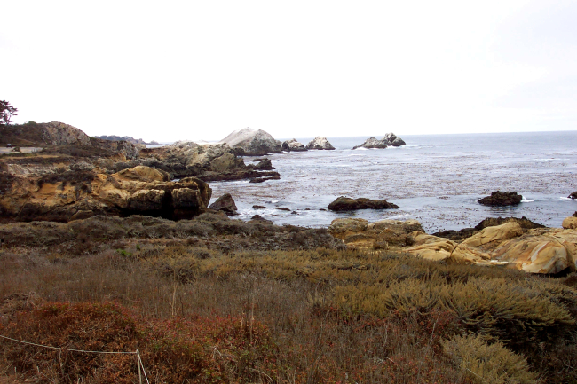 Looking toward Bird Rock at Point Lobos