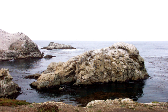 Bird Island Rocks at south end of Point Lobos State Reserve