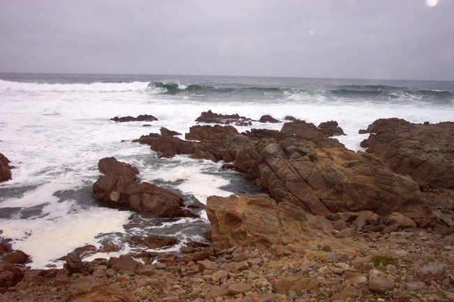 Rock and surf at Asilomar State Park
