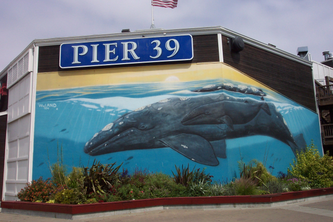 A humpback whale mural of mother and calf at Pier 39, near Fisherman's Wharf
