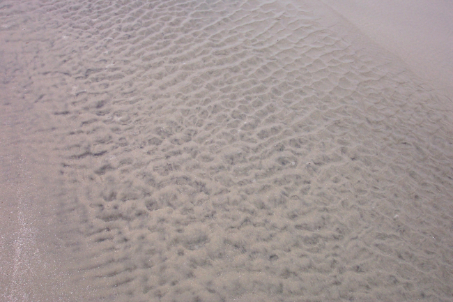 Ripple patterns on an exposed tidal channel at low tide on Sullivans Island