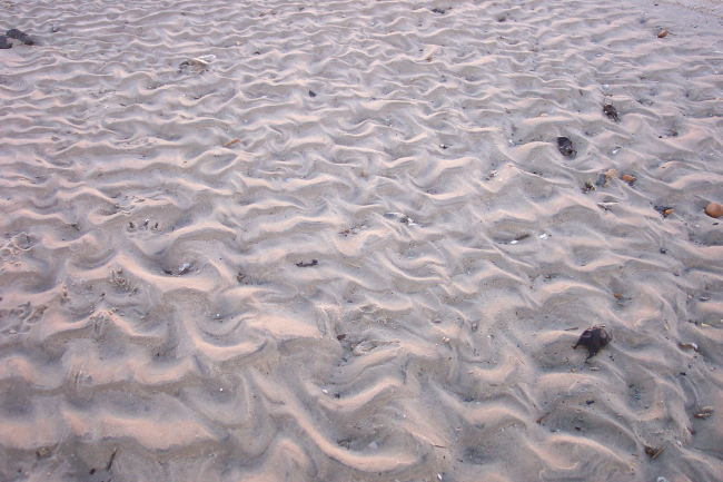 Ripple marks in a tidal channel at low tide at Cape Henry
