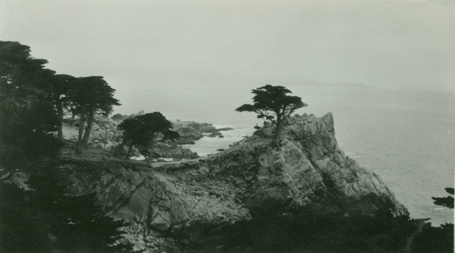 The famous Cypress Point along Seventeen Mile Drive